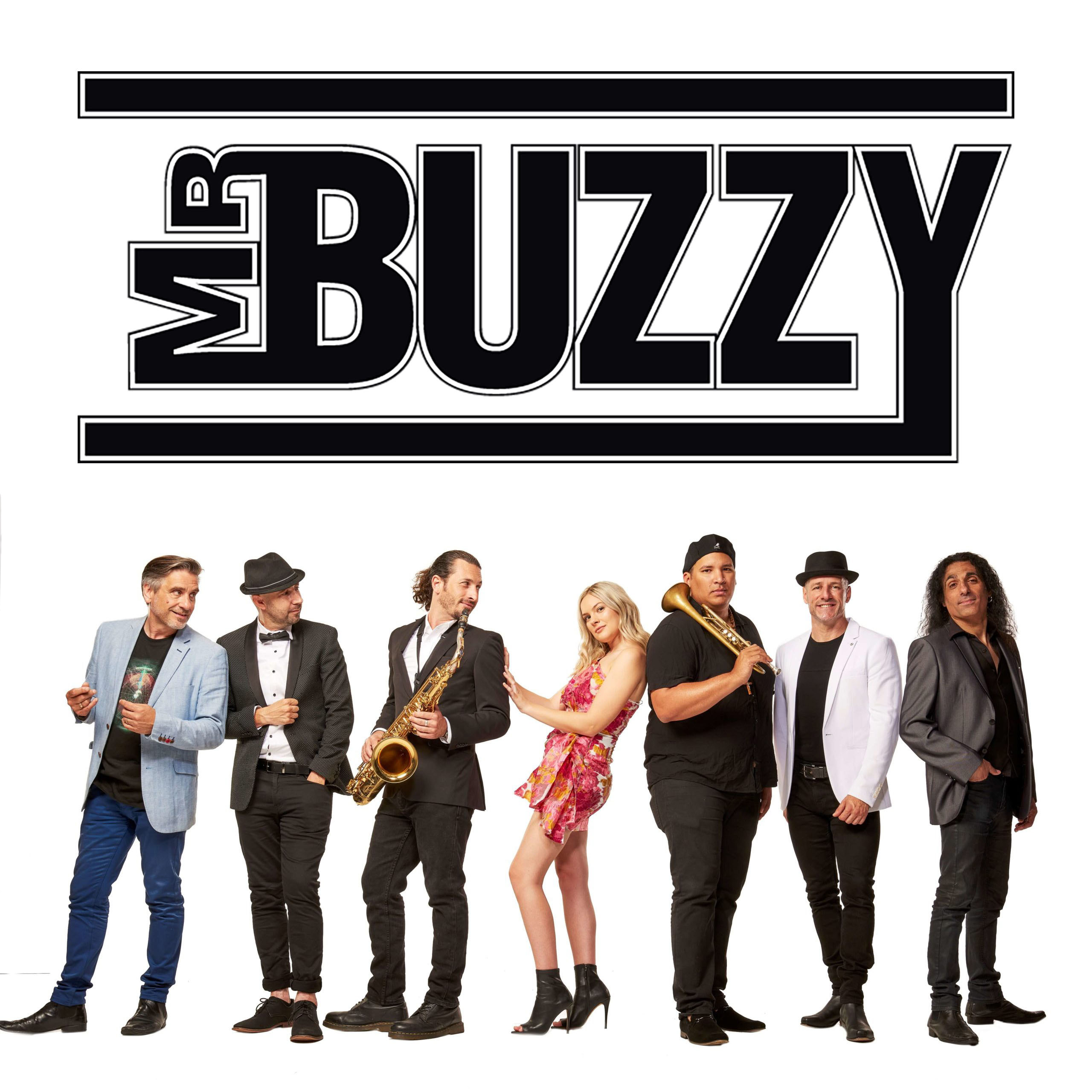 Mr Buzzy